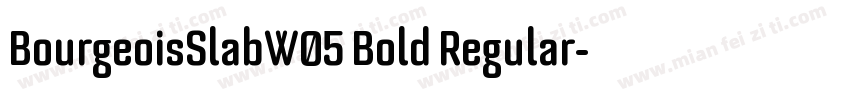 BourgeoisSlabW05 Bold Regular字体转换